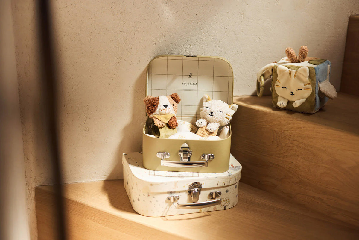 Maleta para juguetes - Tiny Park Set x 2 Jollein