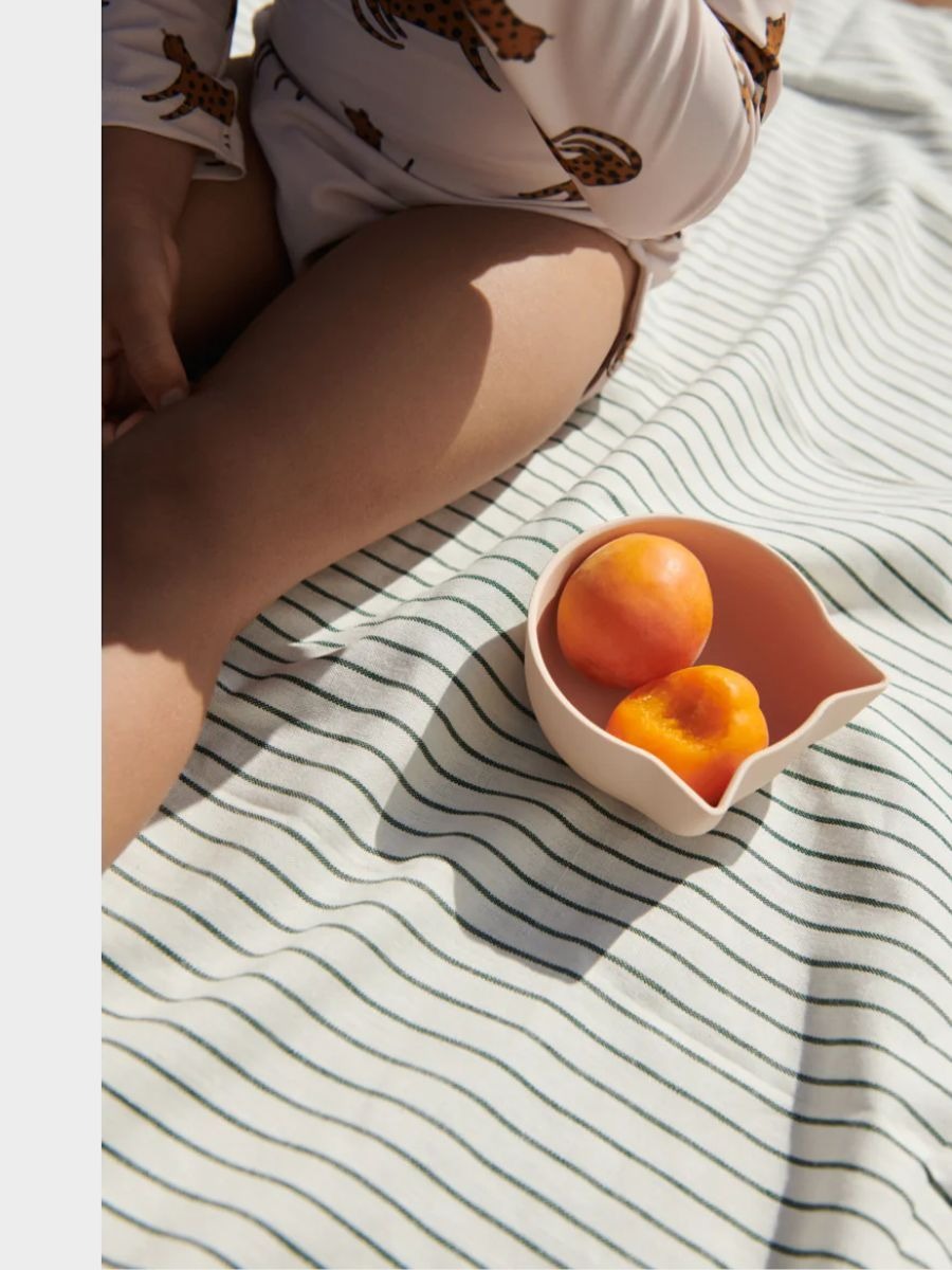 Bowl de silicona Filiz Cat Rose Multi Mix Pack x 4 de Liewood